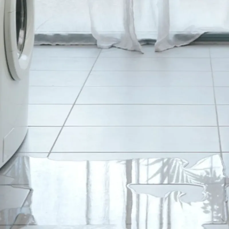 Appliance Leak Cleanup in Monona, WI