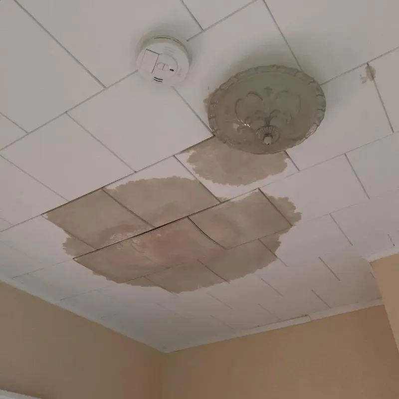 Ceiling Water Damage Repair in Monona, WI