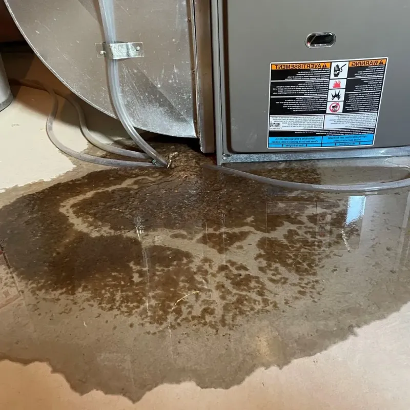 Pipe Burst and Leak Restoration in Monona, WI